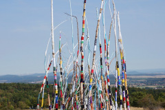DSC00186