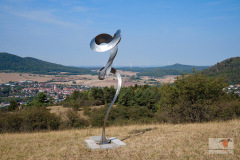 DSC002neu56