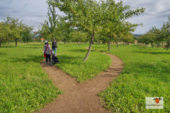 DSC09070
