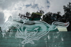 DSC00390