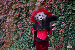 DSC00251