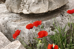 italien_roma_9_20130303_1771674072