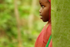 100_tage_am_rande_gesehen_5