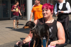 DSC02878