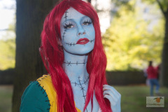 DSC01355