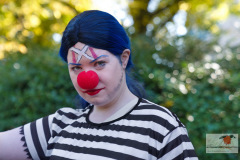 DSC04354