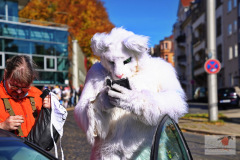 DSC04385