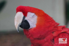 DSC06370