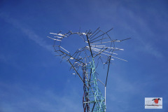 DSC00578