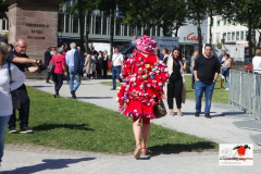 DSC00711
