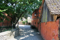SONY DSC