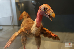 DSC09538