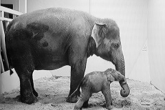 zoo_hannover_2_20130116_1538805041