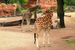 zoo_hannover_5_20130116_1305979650