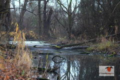 DSC01171neu-1