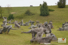 DSC09778