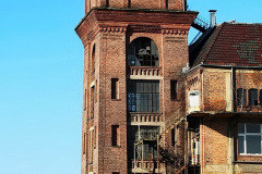 firma_salzman_2013_9_20130304_1473664730