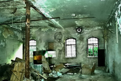 firma_salzmann_co_2009_3_20130227_1239678420