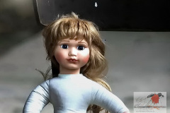 firma_salzmann_co_2009_4_20130227_1953281240