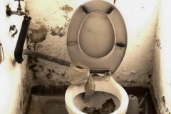 firma_salzmann_co_2009_5_20130227_1050007037