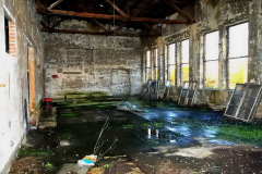 firma_salzmann_co_2009_5_20130227_1324171760