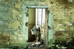 firma_salzmann_co_2009_5_20130227_2086723813