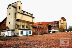 firma_salzmann_co_2009_7_20130227_1478293563-1