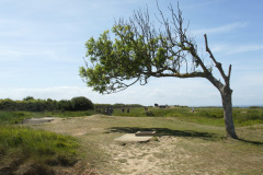 SONY DSC