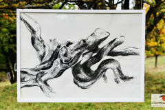 Iris-Gabler-2