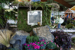 SONY DSC