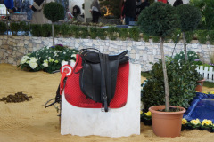 SONY DSC