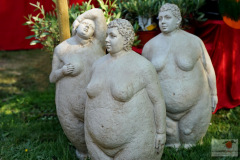 DSC08650