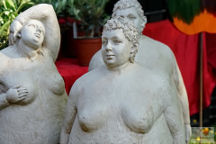 DSC08651
