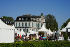 DSC08663