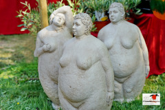 DSC08650