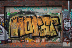 DSC00027
