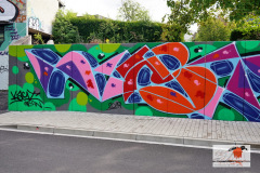 DSC09996