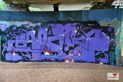 DSC04561