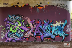 DSC08225