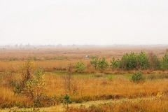 DSC05560