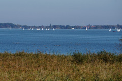 DSC07158