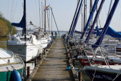 DSC07514