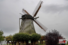 DSC08909