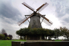 DSC08911