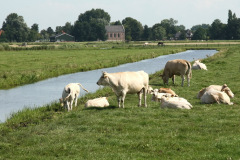 edam-amsterdam_5_20130213_1387063221