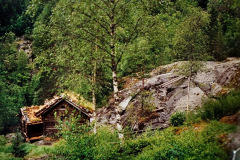DSC00711