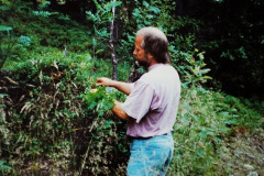 DSC00737-1