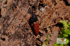 DSC08890