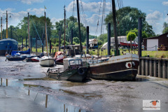 DSC03295