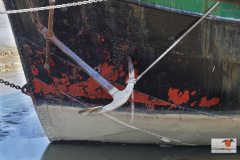 DSC03304